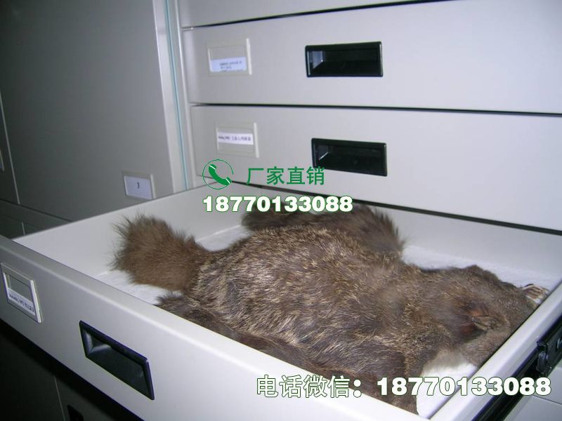 银川动物标本密集柜